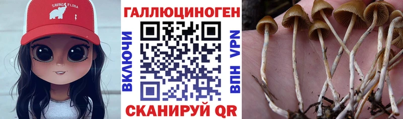 Псилоцибиновые грибы MAGIC MUSHROOMS  как найти   Серов 